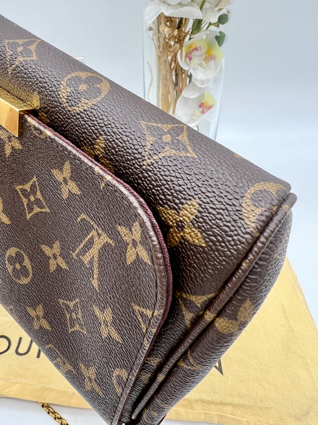 LOUIS VUITTON FAVOURITE MM MONOGRAM