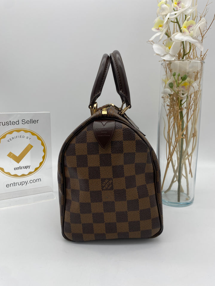 LOUIS VUITTON SPEEDY 25 DAMIER