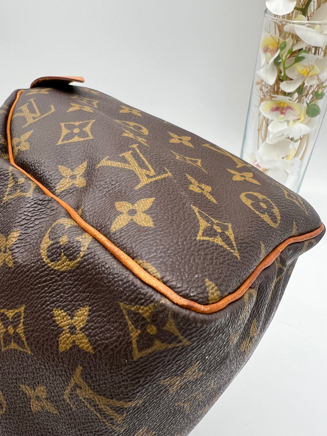 LOUIS VUITTON SPEEDY 25 MONOGRAM