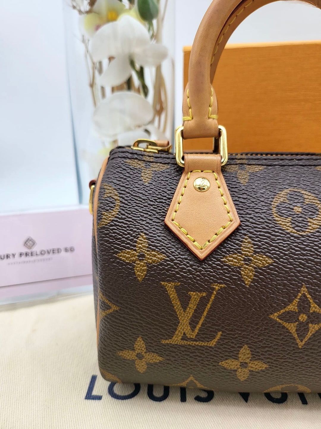 LOUIS VUITTON NANO SPEEDY MONOGRAM