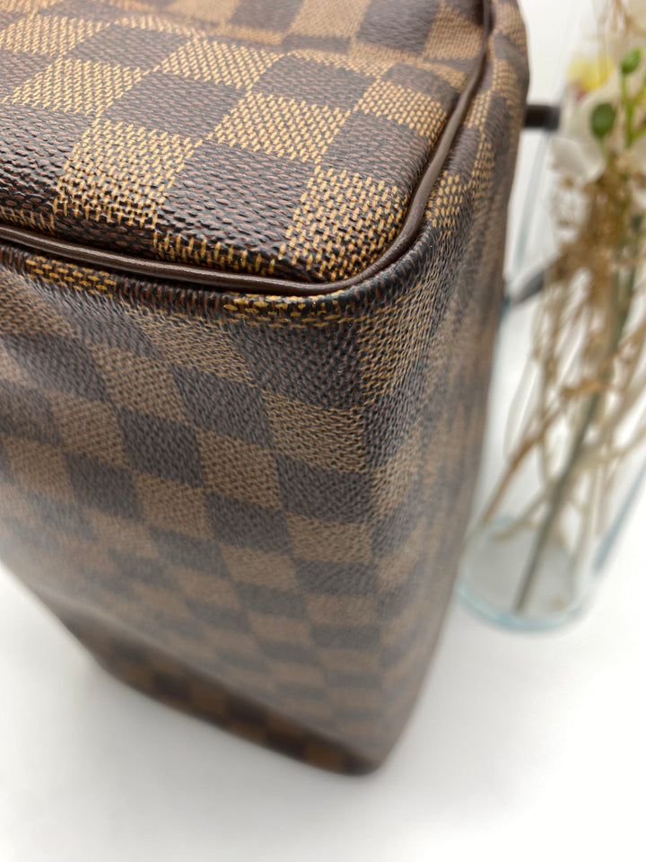 LOUIS VUITTON SPEEDY 25 DAMIER