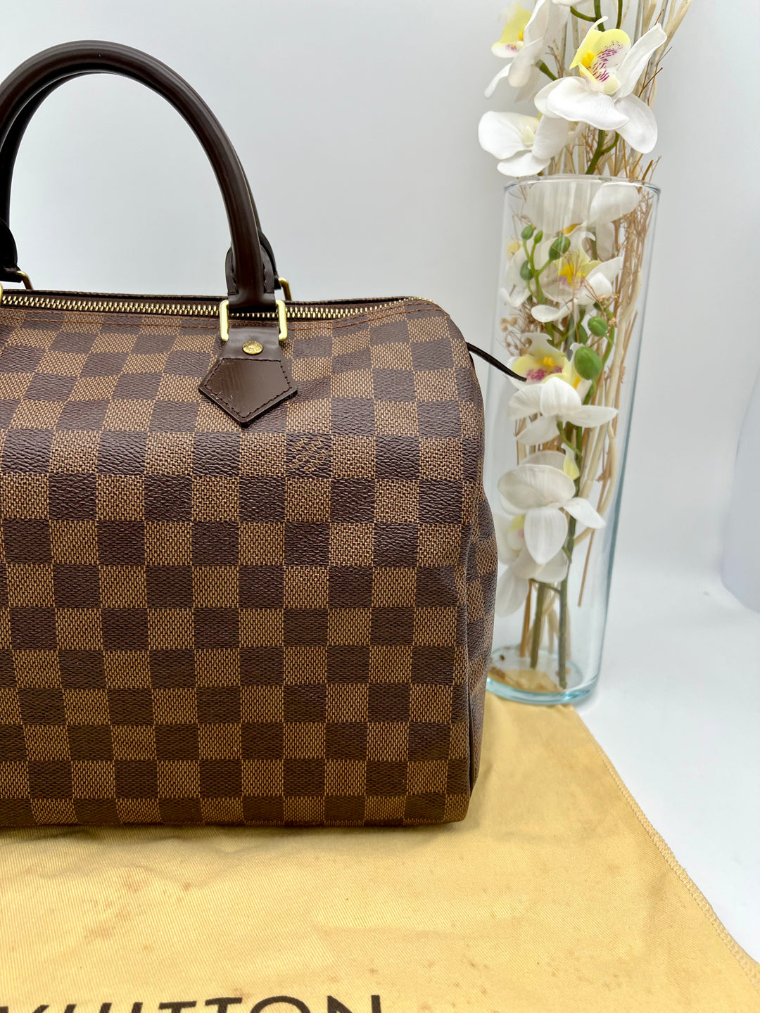 LOUIS VUITTON SPEEDY 30 DAMIER