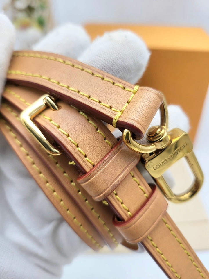 LOUIS VUITTON NANO SPEEDY MONOGRAM
