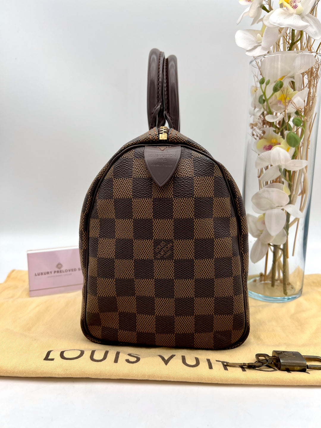 LOUIS VUITTON SPEEDY 25 DAMIER