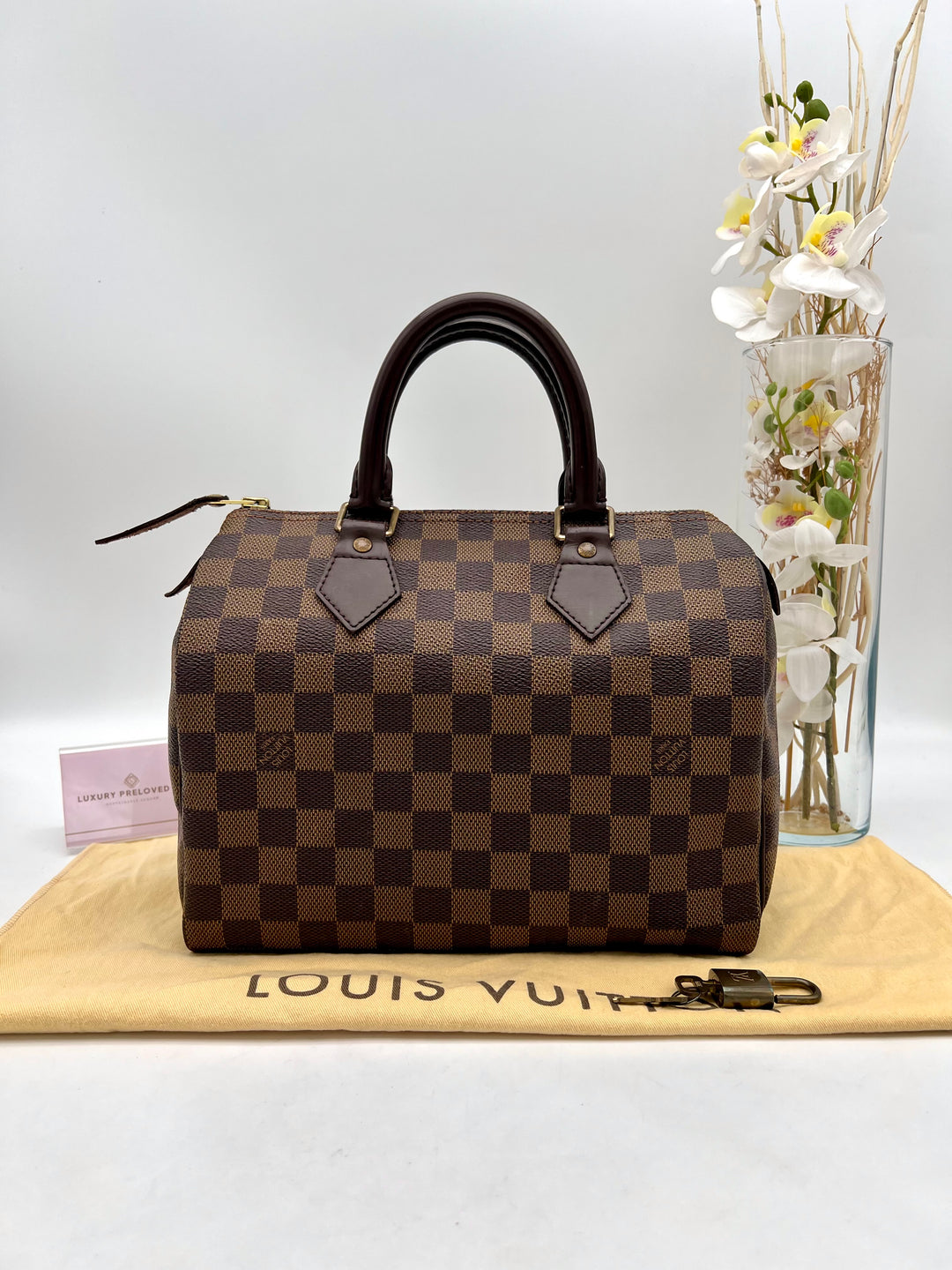 LOUIS VUITTON SPEEDY 25 DAMIER