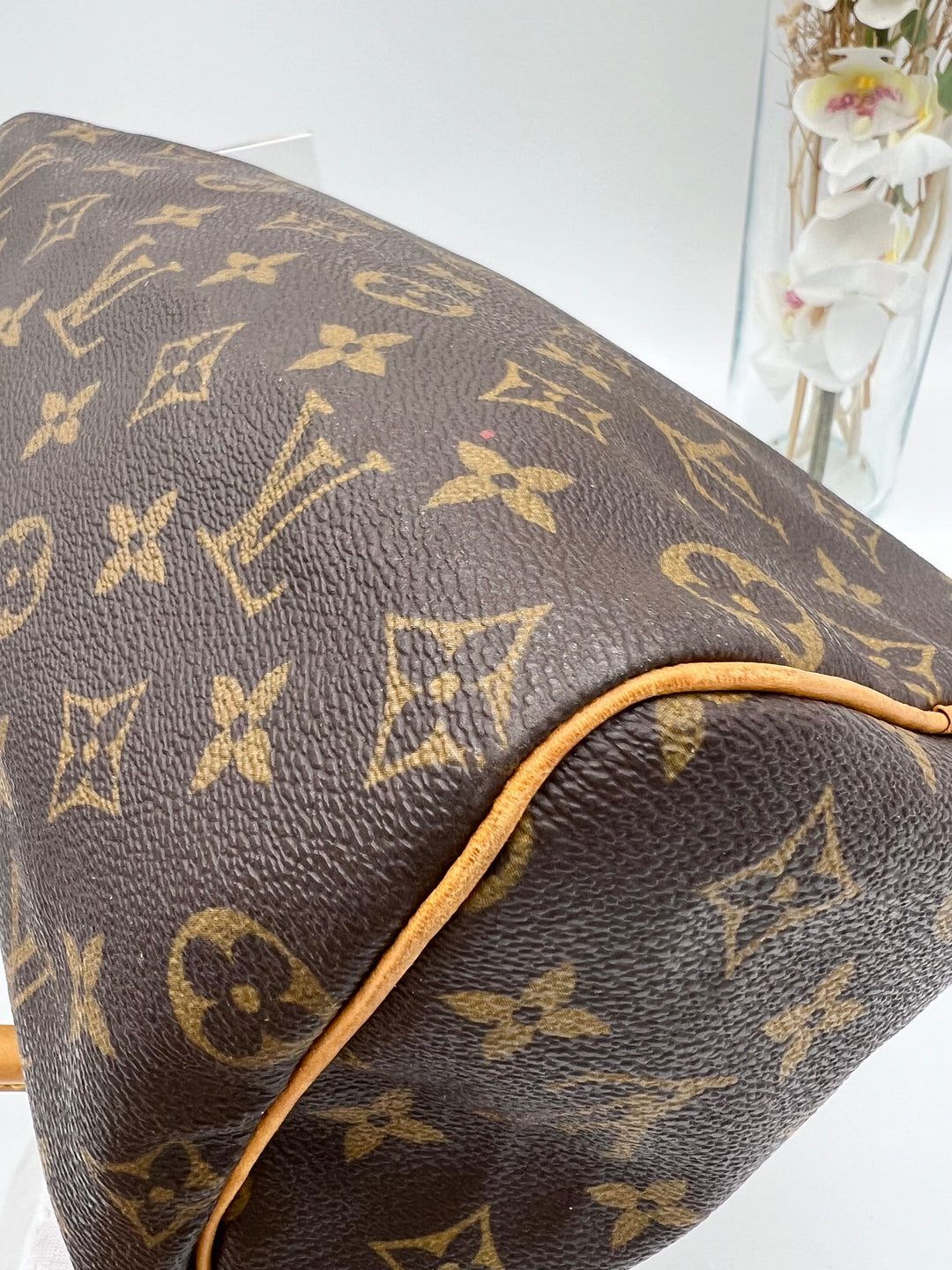 LOUIS VUITTON SPEEDY 25 MONOGRAM