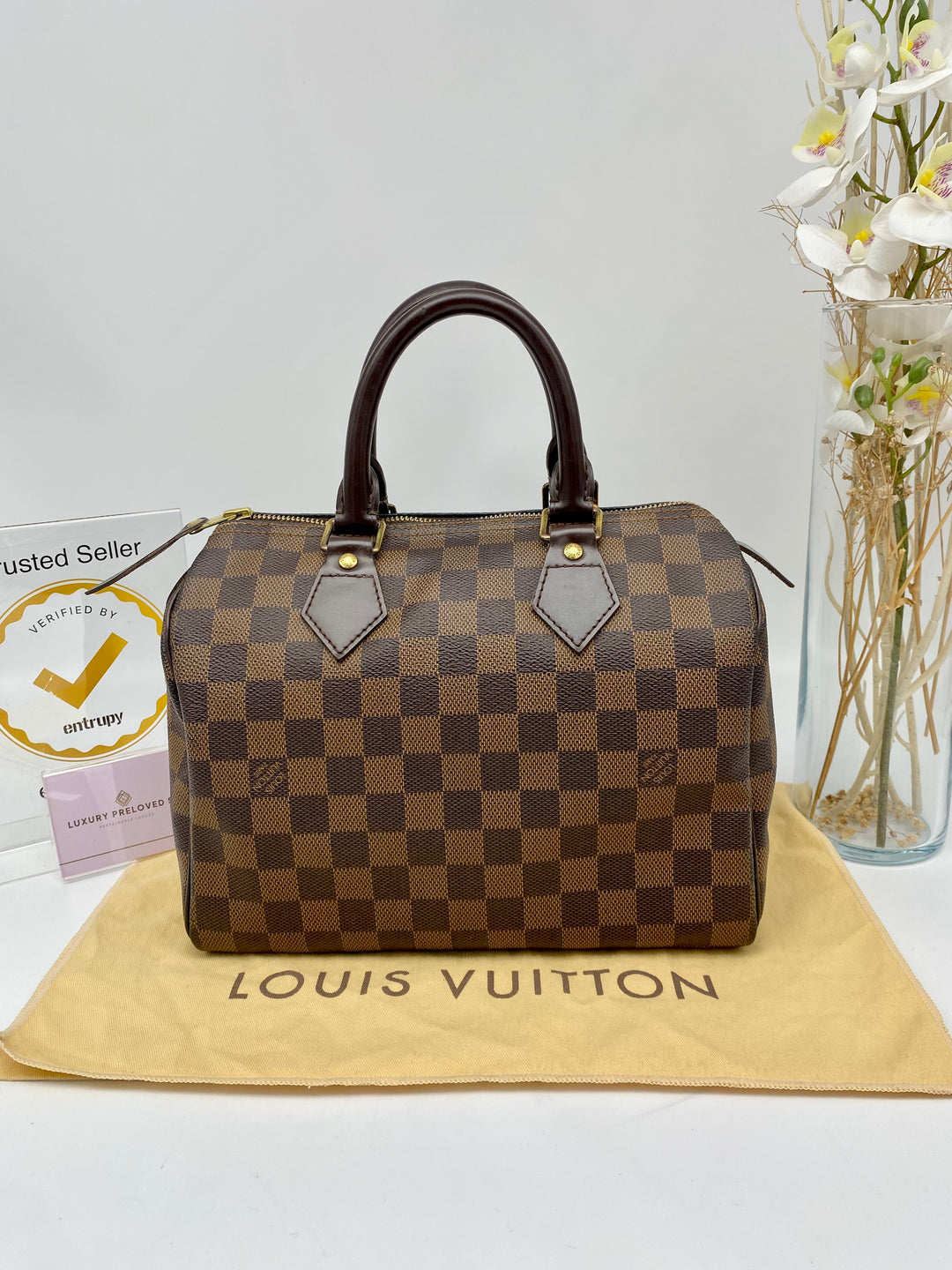 LOUIS VUITTON SPEEDY 25 DAMIER