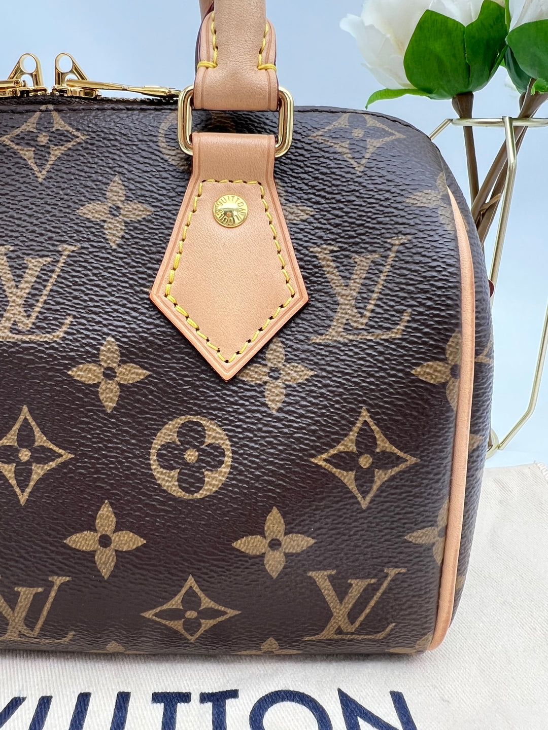 LOUIS VUITTON BANDOULIERE 20 MONOGRAM