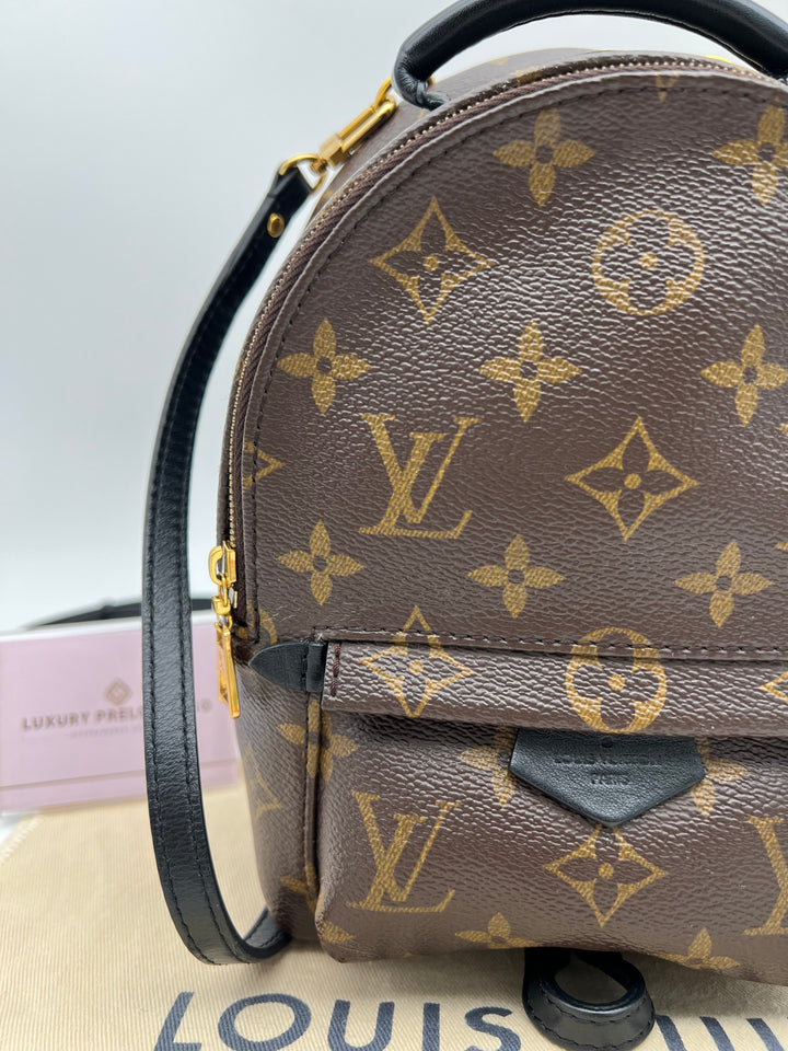LOUIS VUITTON PALM SPRING MINI MONOGRAM