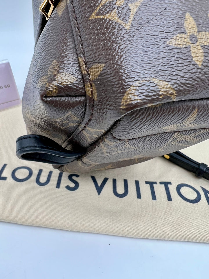 LOUIS VUITTON PALM SPRING MINI MONOGRAM