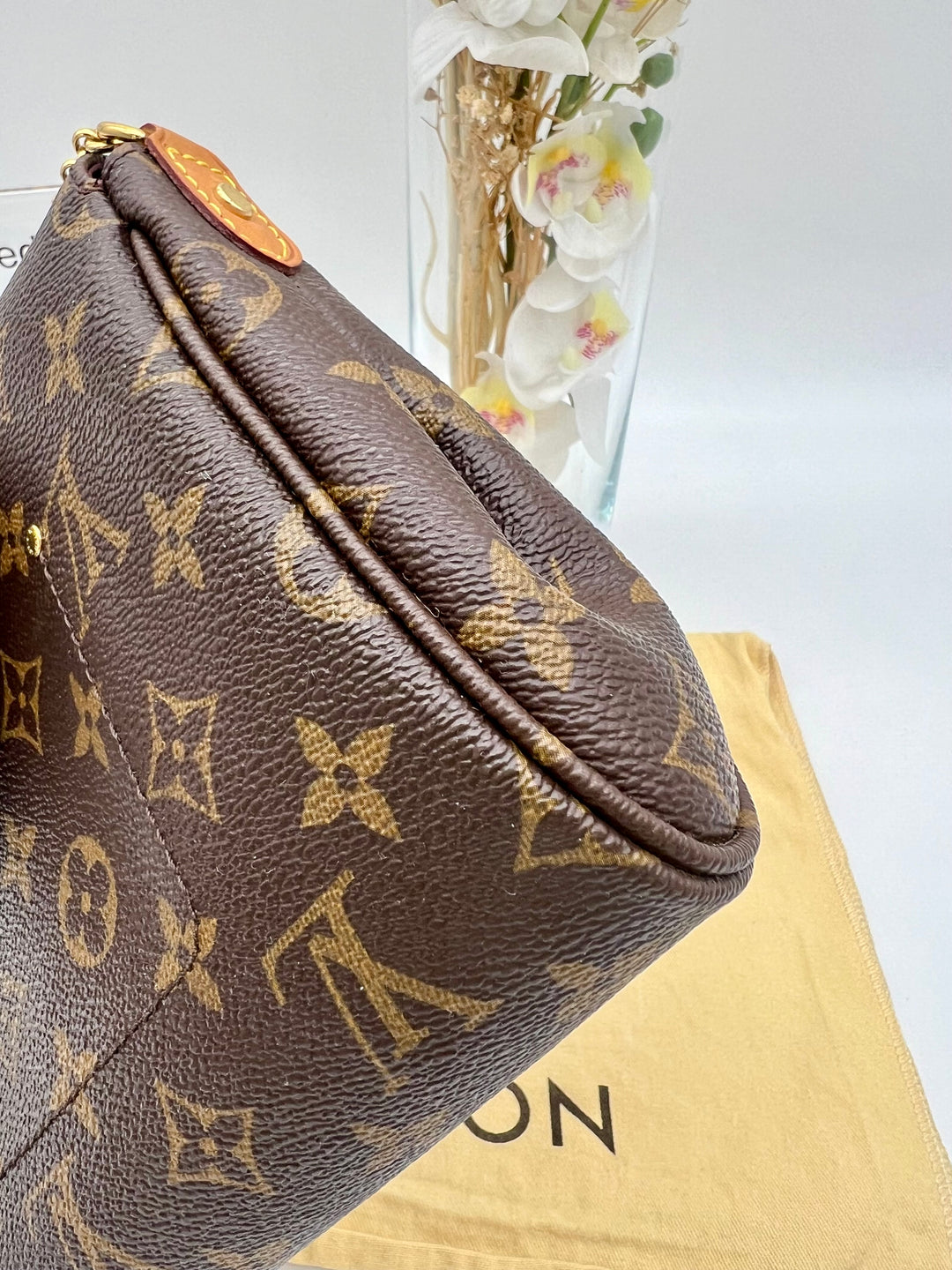 LOUIS VUITTON FAVOURITE MM MONOGRAM