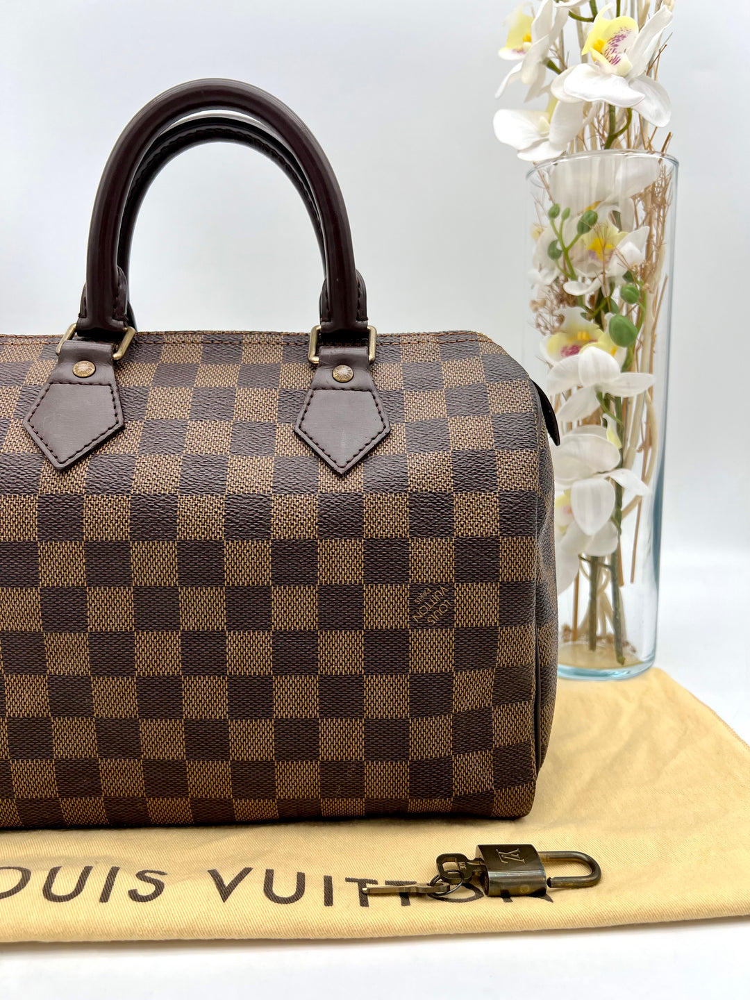 LOUIS VUITTON SPEEDY 25 DAMIER