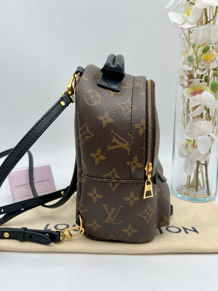 LOUIS VUITTON PALM SPRING MINI MONOGRAM
