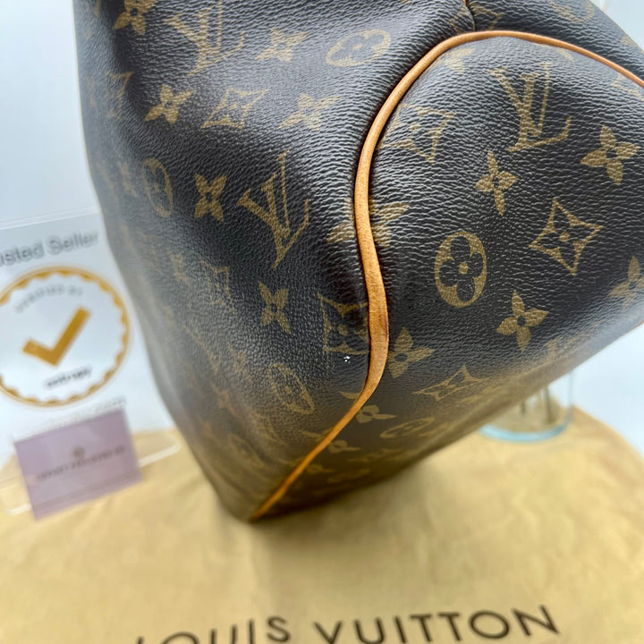 LOUIS VUITTON DELIGHTFUL MONOGRAM MM