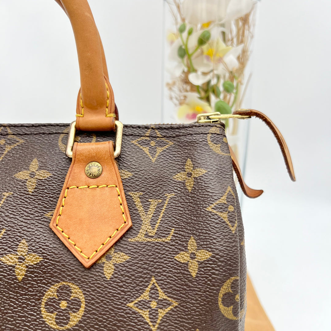 LOUIS VUITTON SPEEDY 25 MONOGRAM