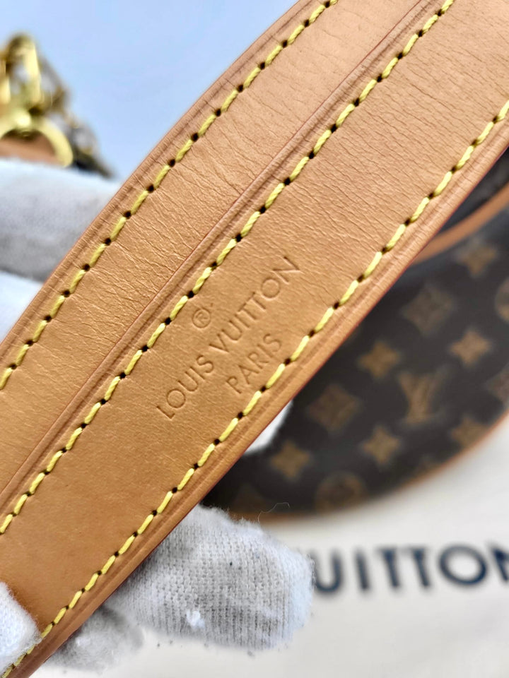 LOUIS VUITTON LOOP BAG