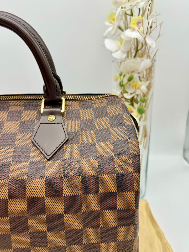 LOUIS VUITTON SPEEDY 30 DAMIER