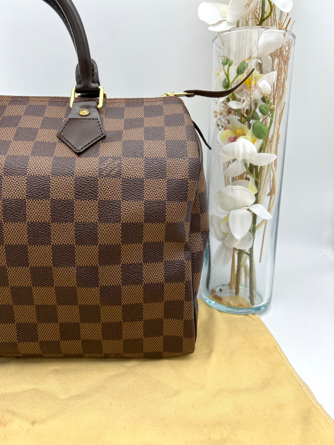LOUIS VUITTON SPEEDY 30 DAMIER