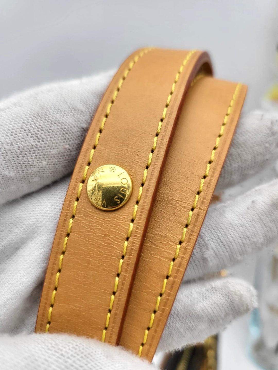 LOUIS VUITTON LOOP BAG