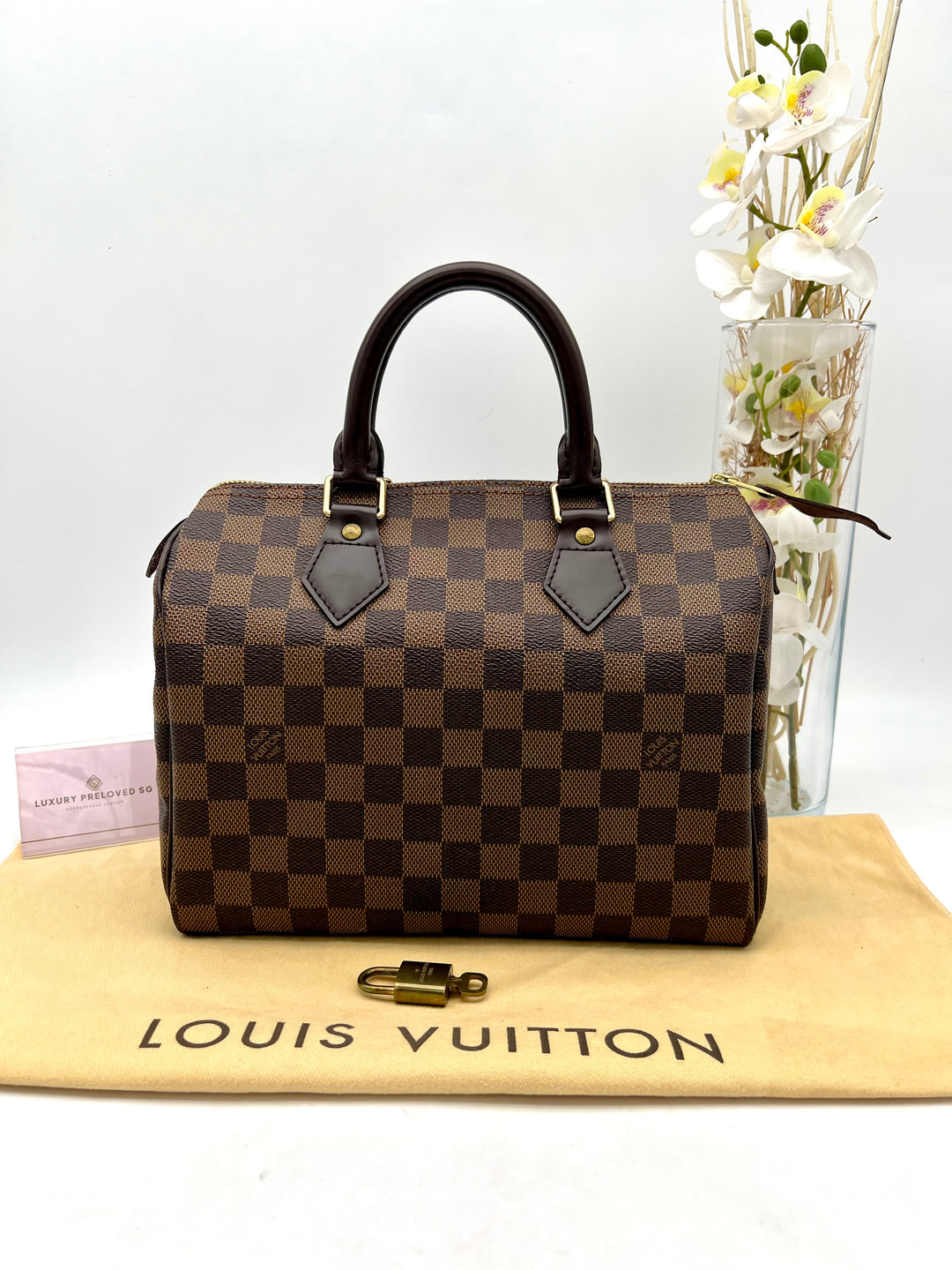 LOUIS VUITTON SPEEDY 25 DAMIER
