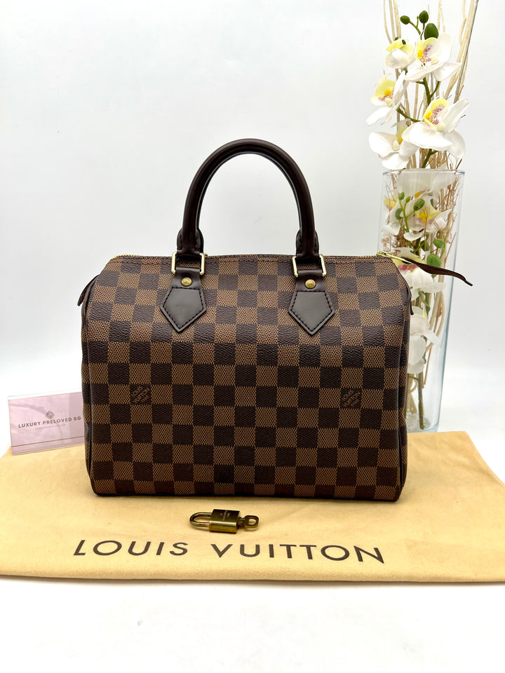 LOUIS VUITTON SPEEDY 25 DAMIER