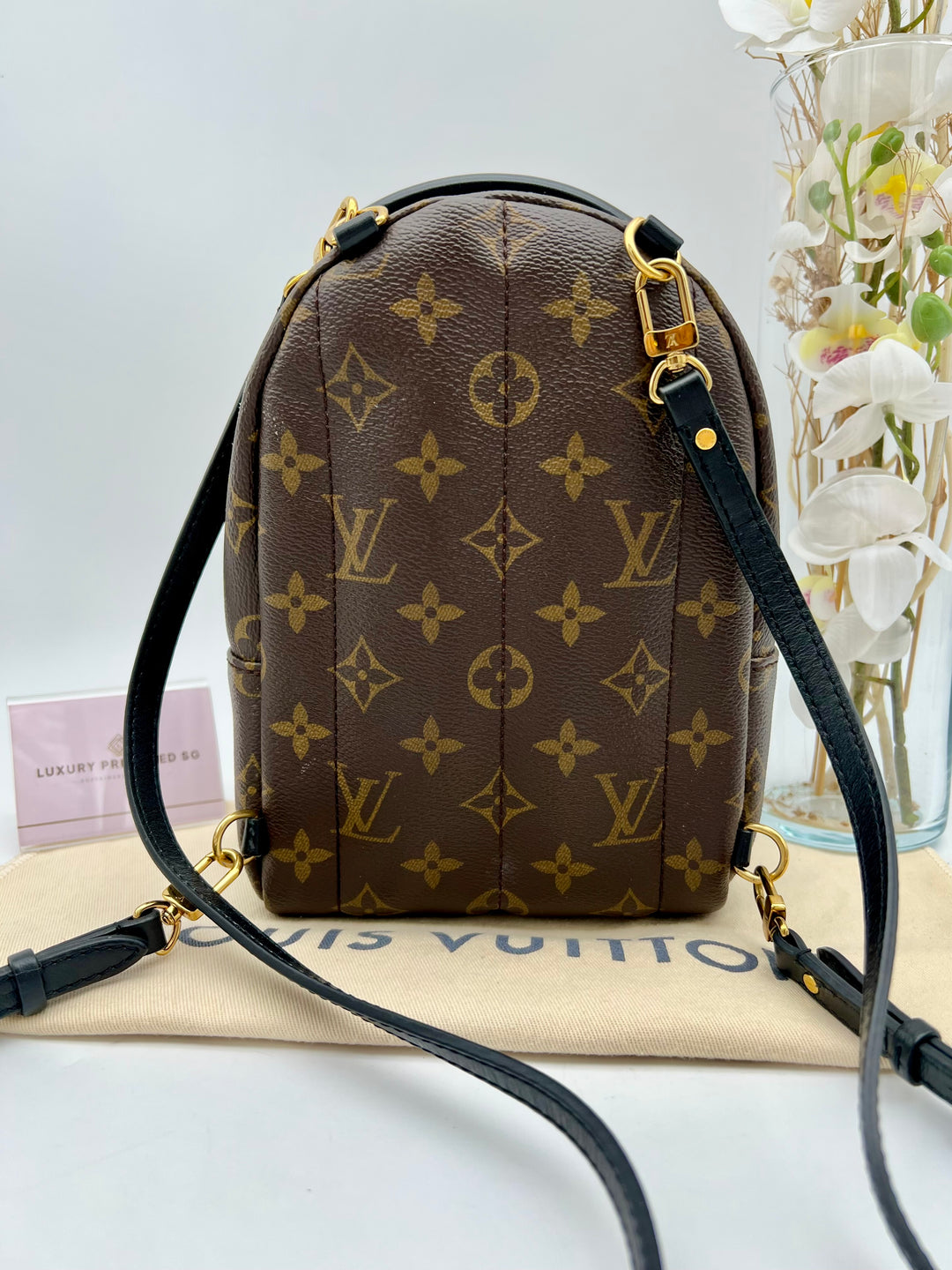 LOUIS VUITTON PALM SPRING MINI MONOGRAM
