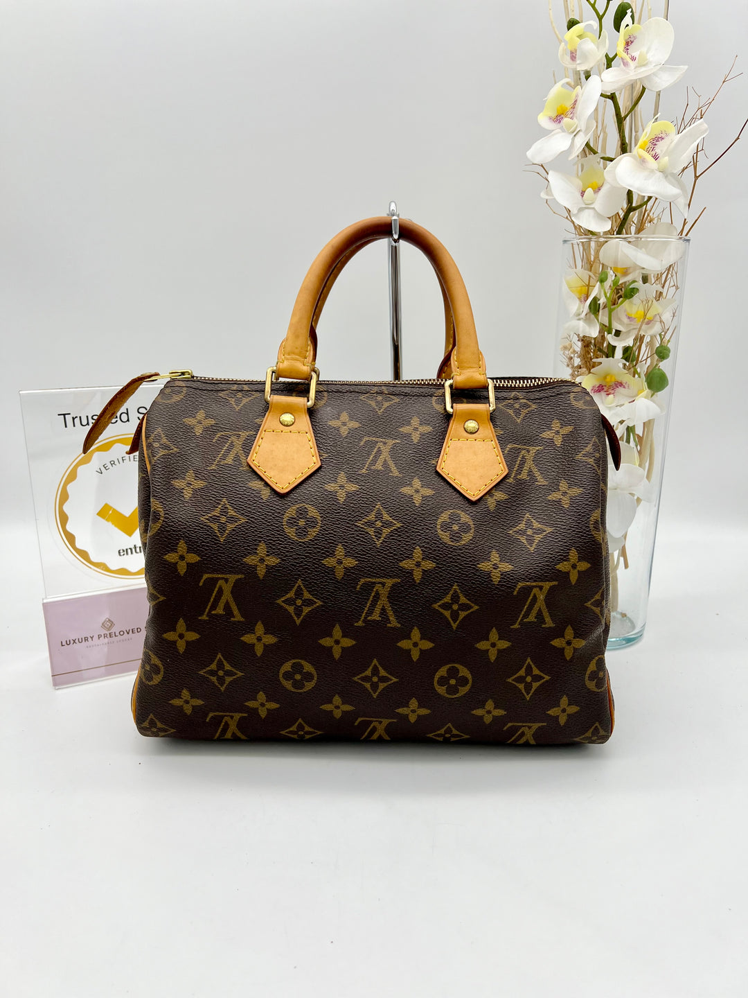 LOUIS VUITTON SPEEDY 25 MONOGRAM