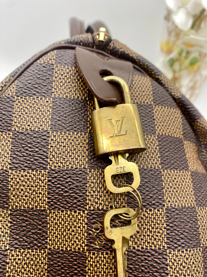 LOUIS VUITTON SPEEDY 25 DAMIER EBENE