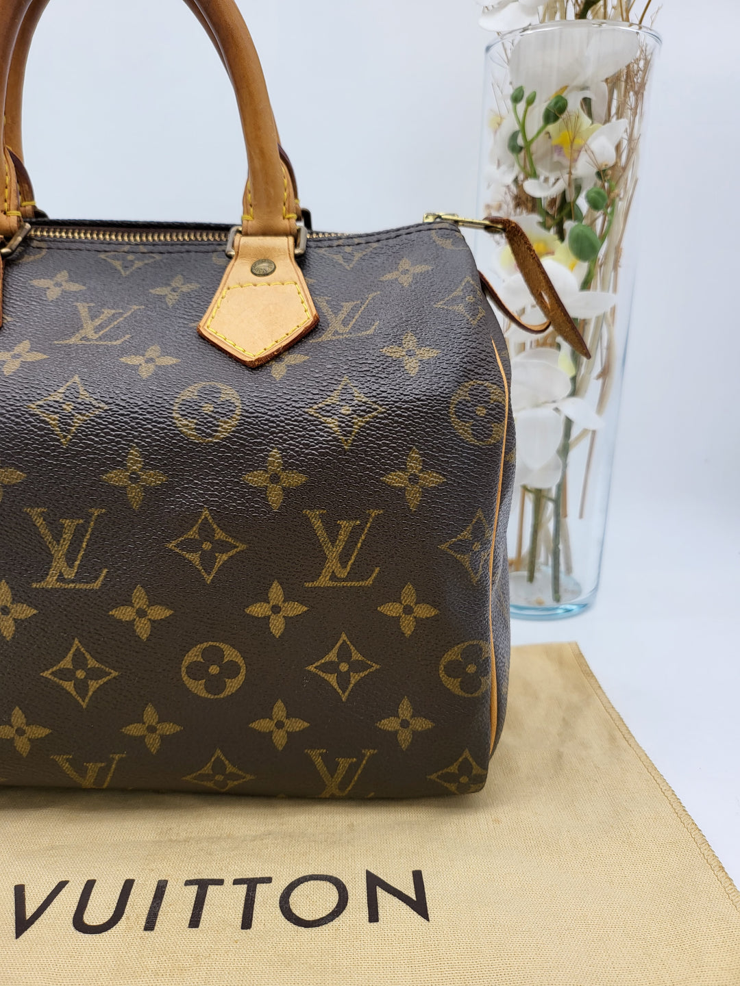 LOUIS VUITTON SPEEDY 25 MONOGRAM