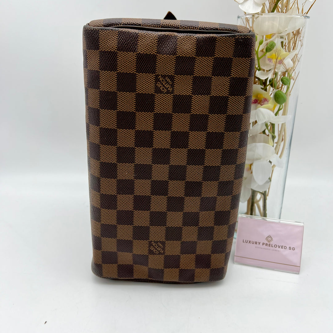 LOUIS VUITTON SPEEDY 25 DAMIER