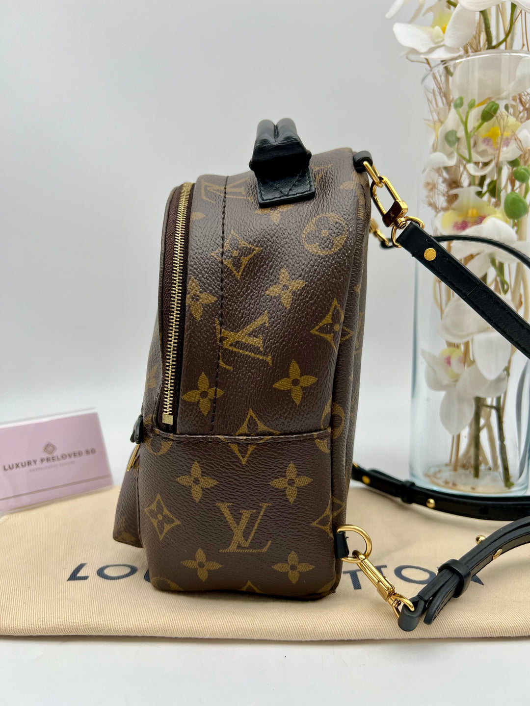LOUIS VUITTON PALM SPRING MINI MONOGRAM