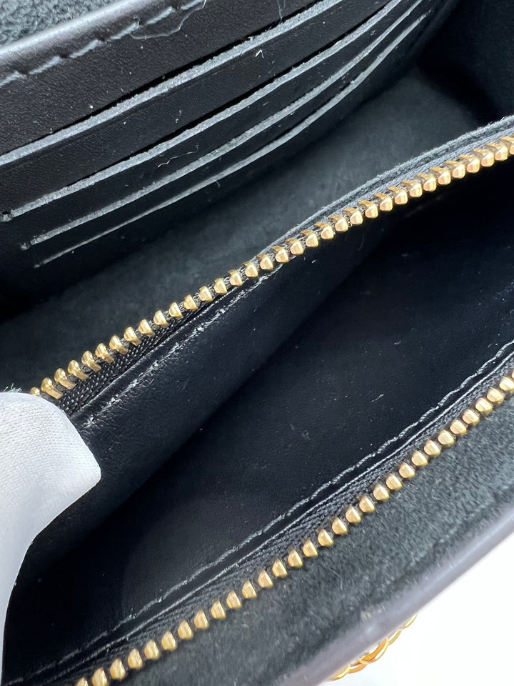 LOUIS VUITTON DAUPHINE WALLET ON CHAIN (RFID)