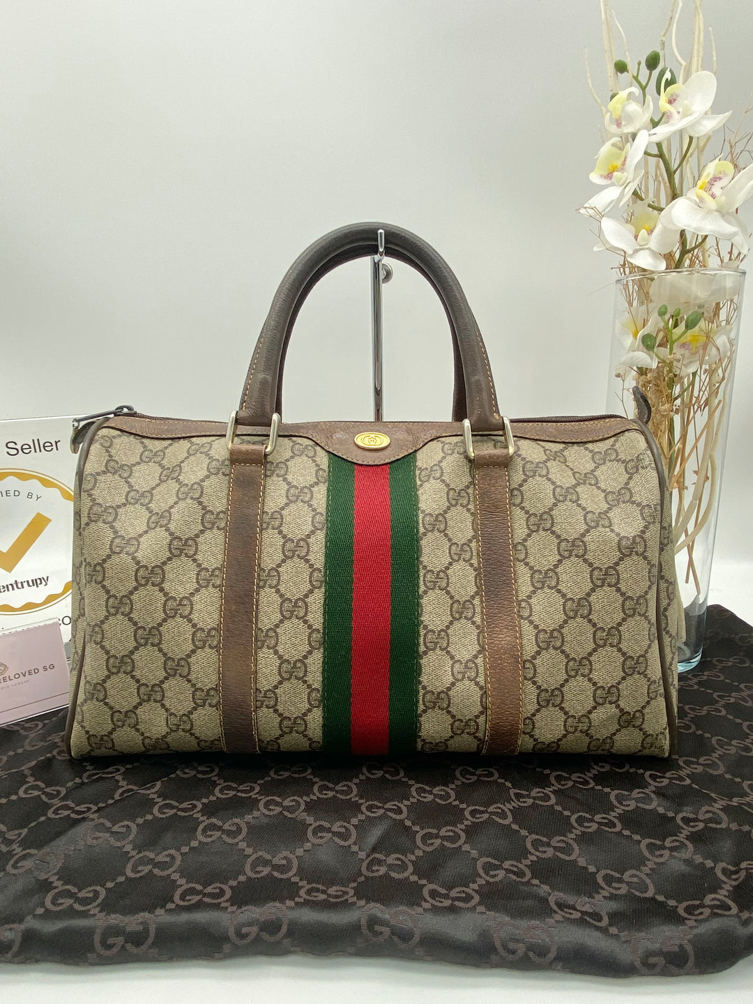 GUCCI VINTAGE OPHIDIA BOSTON