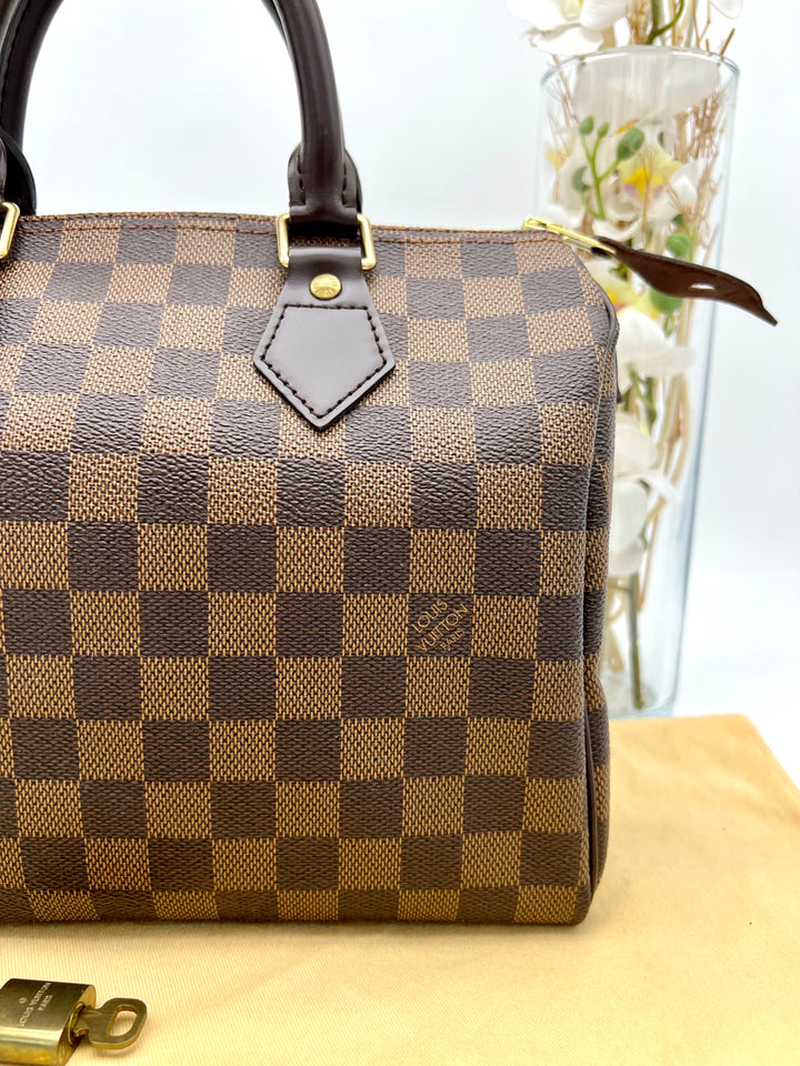 LOUIS VUITTON SPEEDY 25 DAMIER