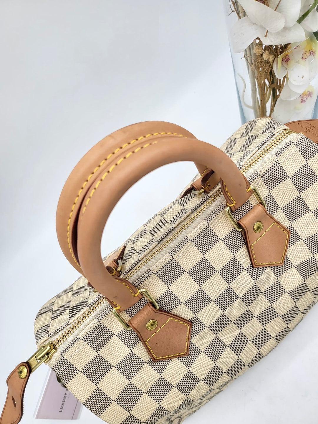 LOUIS VUITTON SPEEDY 25 AZUR