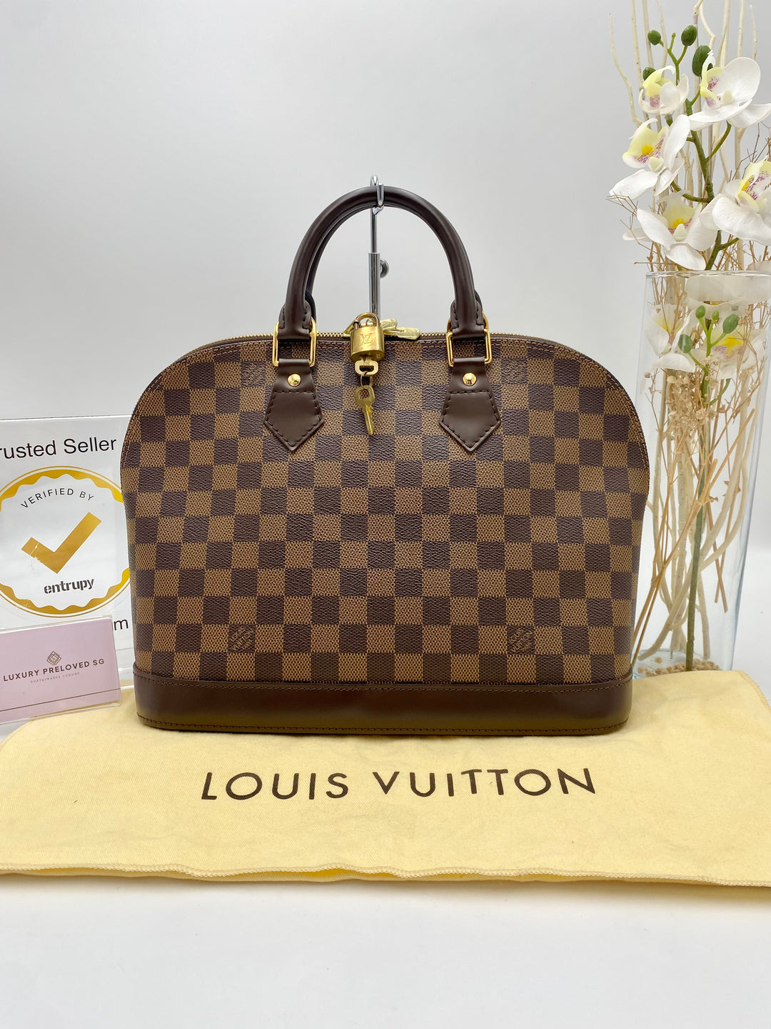 LOUIS VUITTON ALMA PM DAMIER EBENE