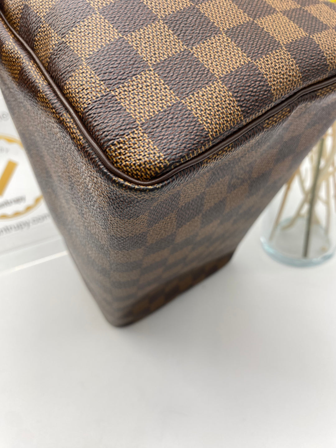 LOUIS VUITTON SPEEDY 25 DAMIER