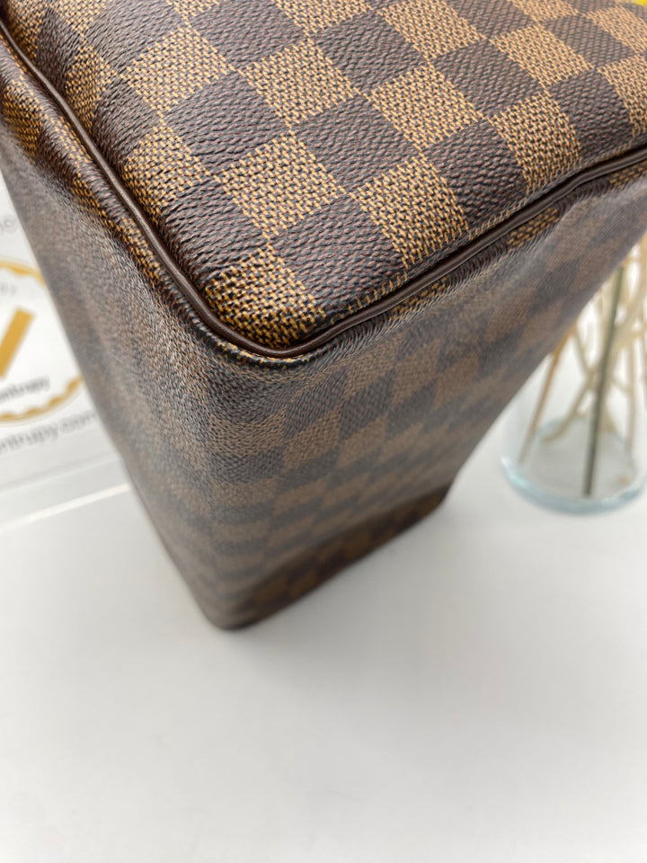 LOUIS VUITTON SPEEDY 25 DAMIER