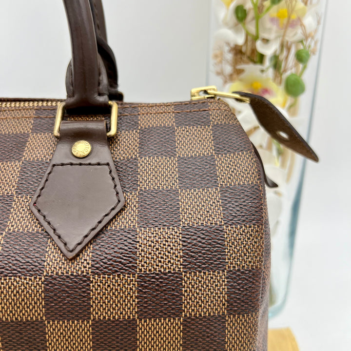 LOUIS VUITTON SPEEDY 25 DAMIER