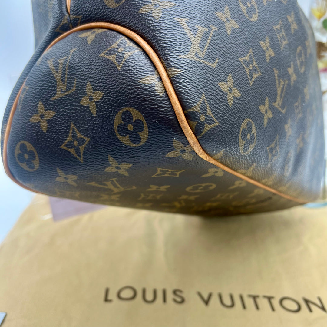 LOUIS VUITTON DELIGHTFUL MONOGRAM MM