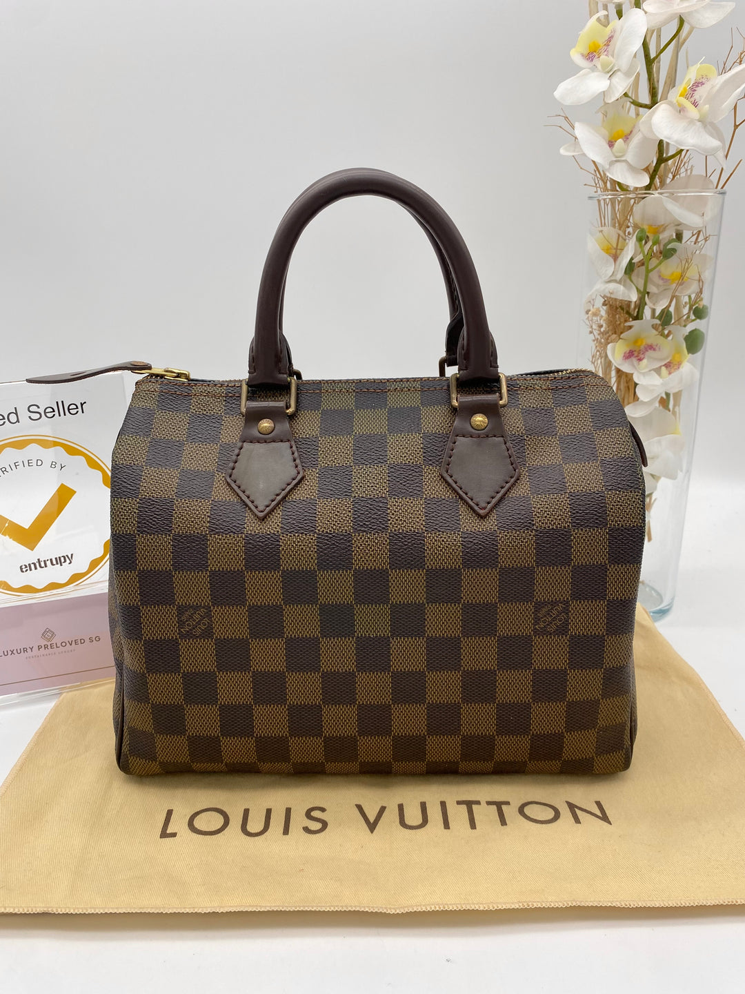 LOUIS VUITTON SPEEDY 25 DAMIER EBENE