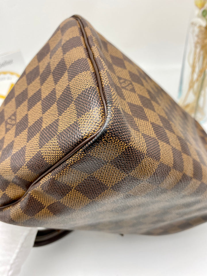 LOUIS VUITTON SPEEDY 25 DAMIER