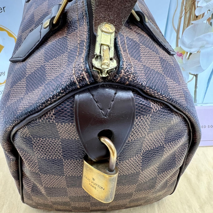 LOUIS VUITTON SPEEDY 25 DAMIER