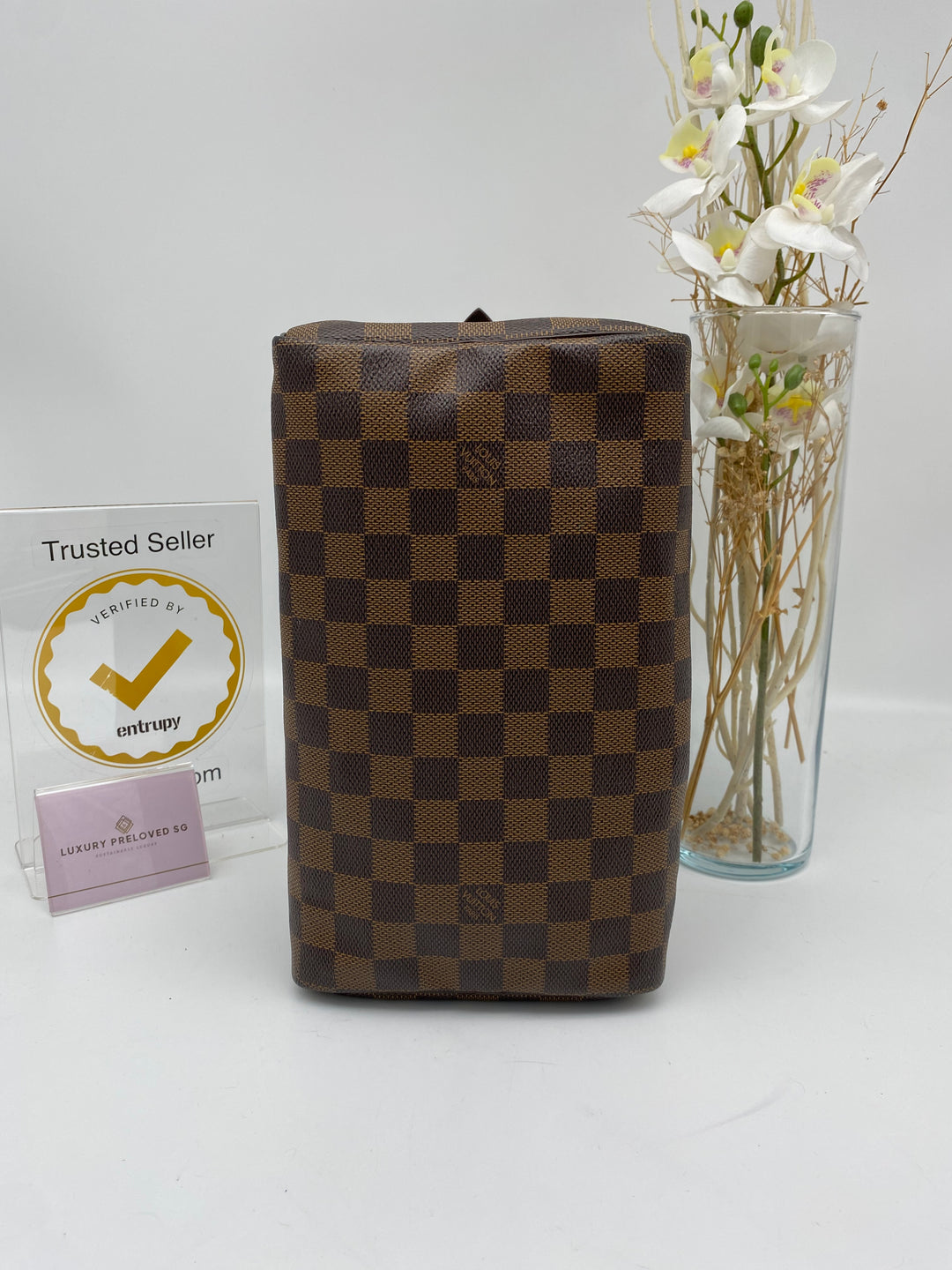 LOUIS VUITTON SPEEDY 25 DAMIER