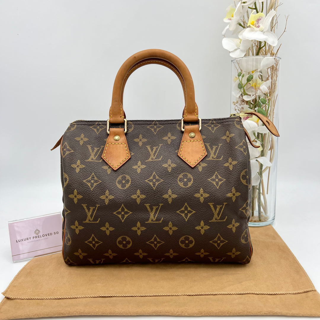 LOUIS VUITTON SPEEDY 25 MONOGRAM