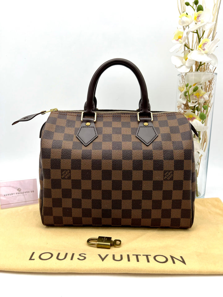 LOUIS VUITTON SPEEDY 25 DAMIER