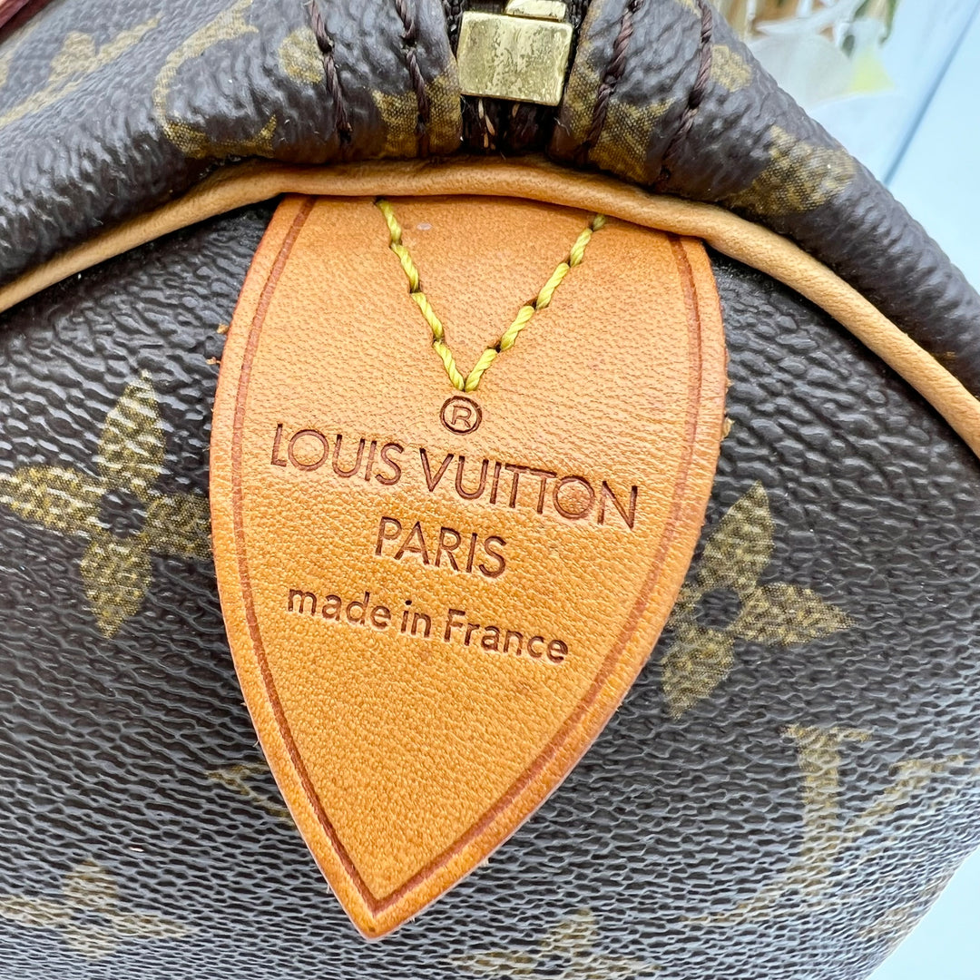 LOUIS VUITTON SPEEDY 25 MONOGRAM