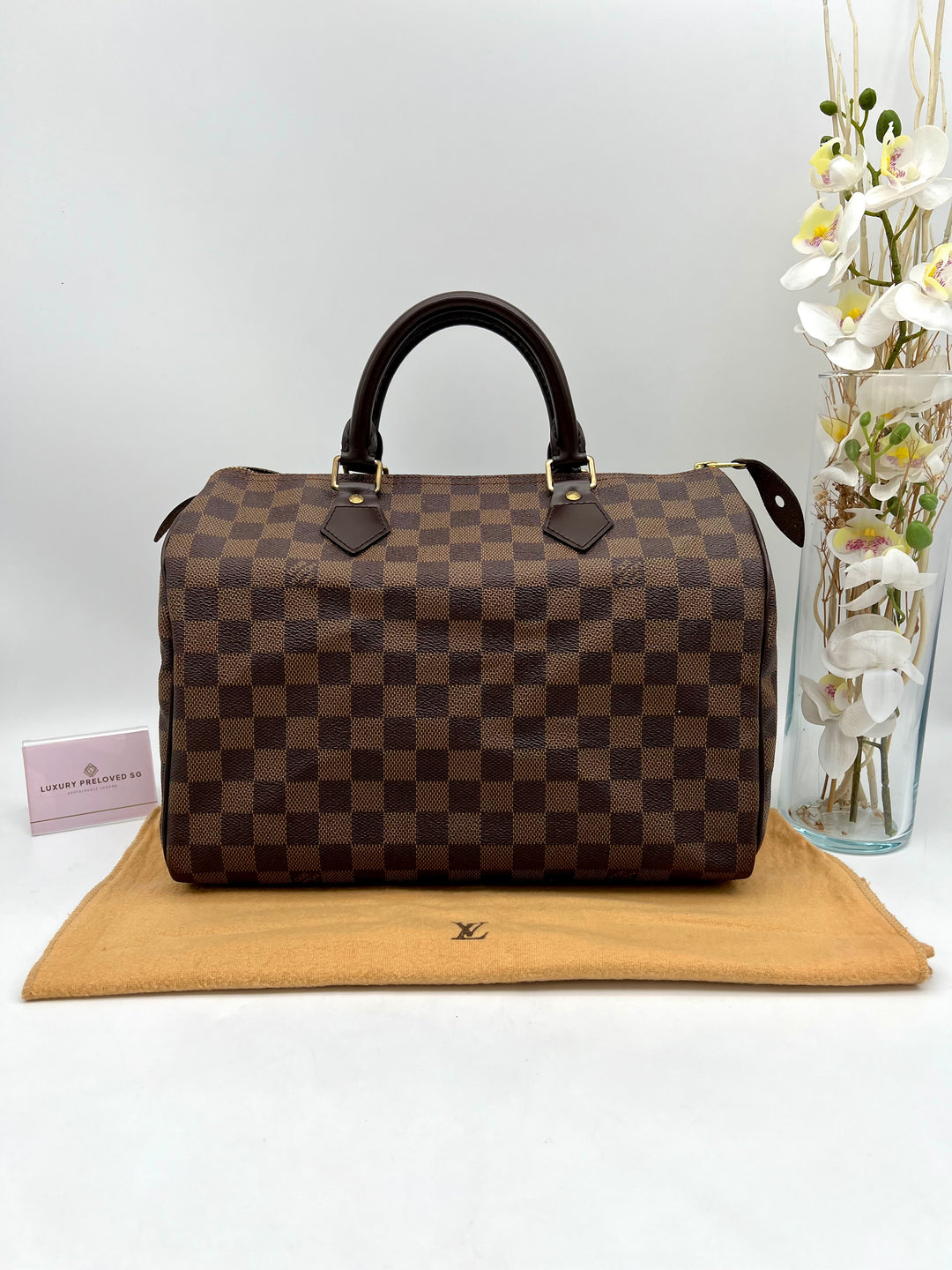 LOUIS VUITTON SPEEDY 30 DAMIER