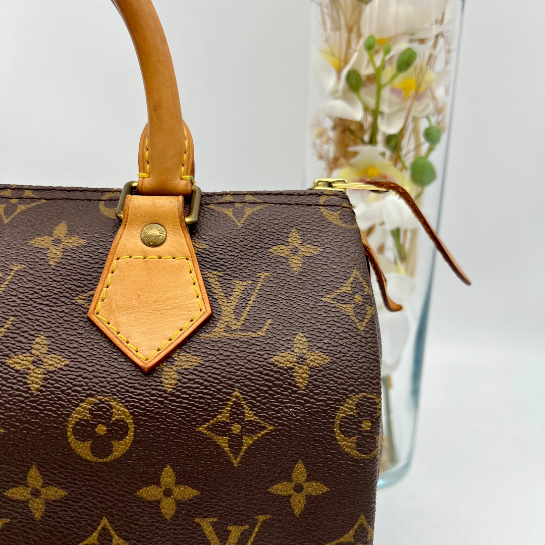 LOUIS VUITTON SPEEDY 25 MONOGRAM