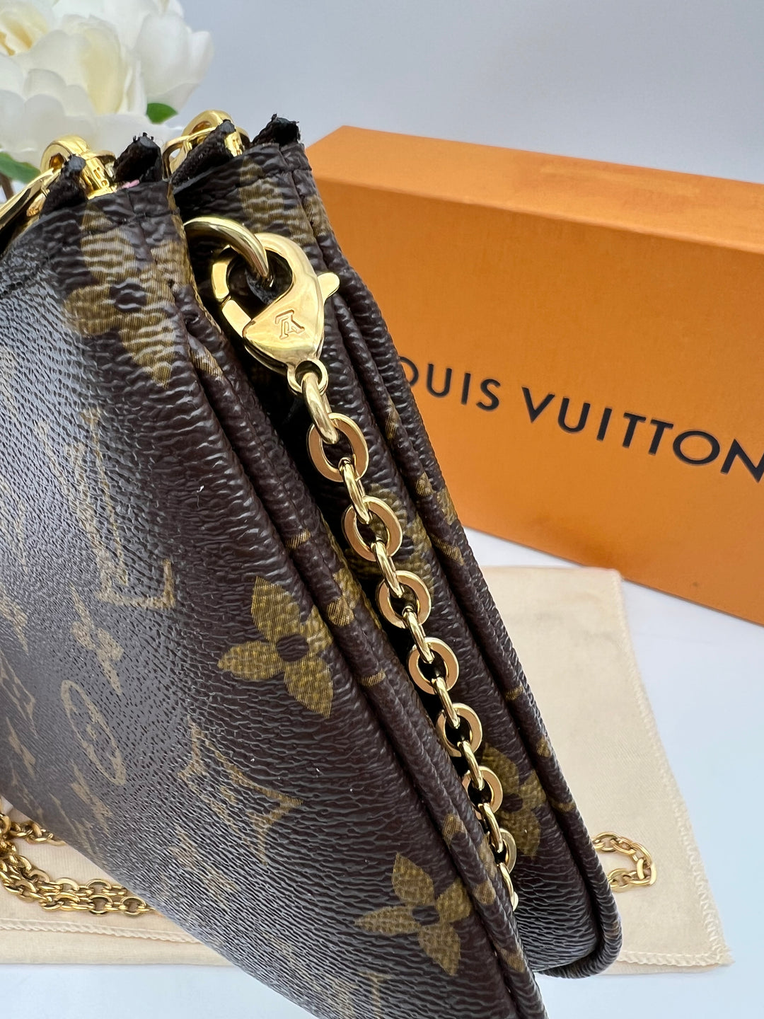 LOUIS VUITTON DOUBLE ZIP POCHETTE ( VIVIEN HOT AIR BALLOON )